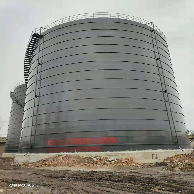 新城街道3万吨大型钢板库