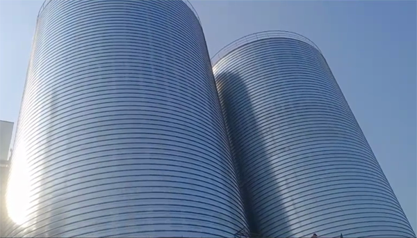 新城街道2座混凝土高架卷板仓